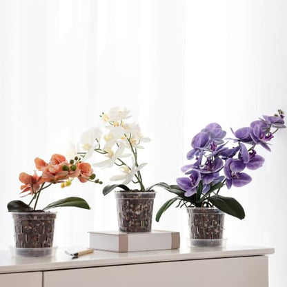 TRUEDAYS Orchid Pot 6 Pack, 2 Each of 4/5/6 Inch Plant Pot with Drainage - size: 4/5/6Inch-6Pack