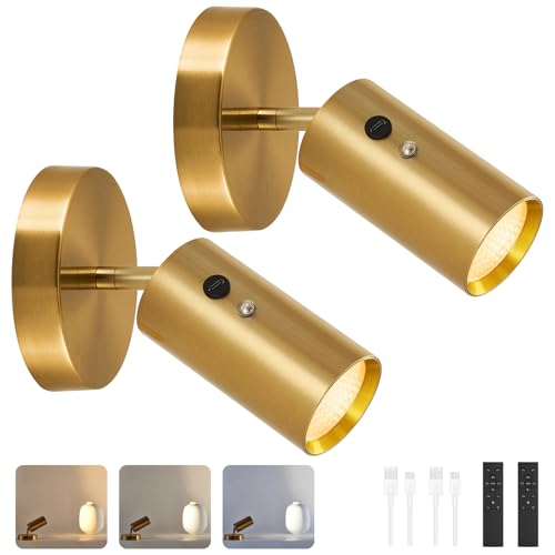 2 Pack Gold Wireless Led Spotlights Indoor with Remote, 8000mAh Cordless Battery Operated Plant Uplights, Rechargeable Small Battery Powered UpLighting for Wall Floor Picture Art Accent Tree