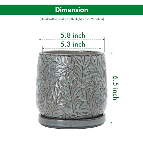 D'vine Dev Embossed Leaves Ceramic Planter, 6 in, Graphite Blue, 27-A-X-9 - color: Graphite Blue, size: 6 Inch