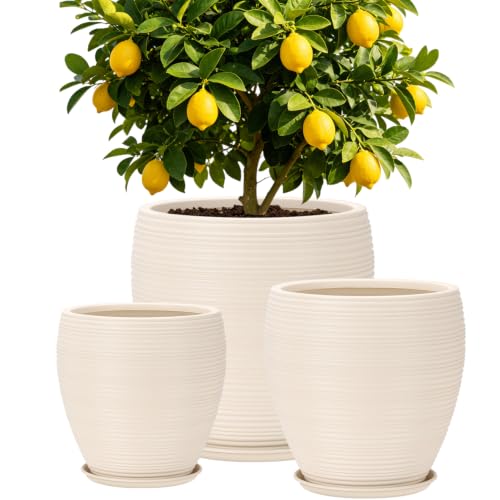 QRRICA Large Round Plastic Planter Set of 3 – 16+13+10 Inches with Drainage & Rubber Plugs – Indoor Outdoor Pots for Flowers, Vegetables, Herbs (White, 16+13+10 inch) - color: White, size: 16+13+10 inch