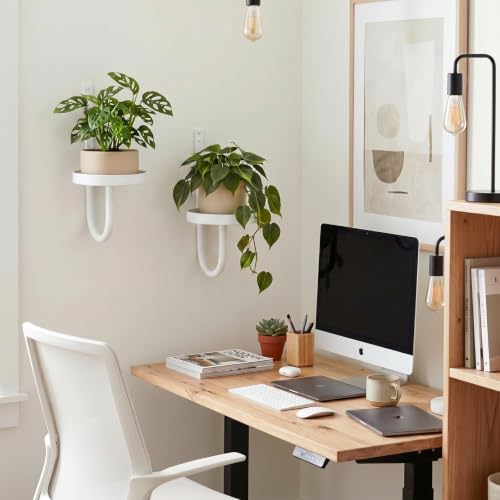 2 Pcs Wall Plant Holder Wall Mounted Hanging Planters for Indoor Plants Planters Shelf Metal Floating Stand for Living Room Bathroom Window(White)