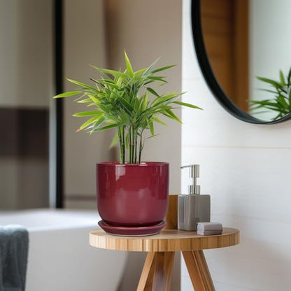 Ceramic Planter for Plants, Round Modern 7 Inch Plant Pot, Red - color: Red, size: 7 Inch