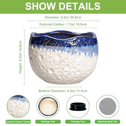 Ceramic Planter 8 Inch, Ceramic Plant Pots Indoor, Beige-Blue - color: Beige-blue, size: 8.2 Inch
