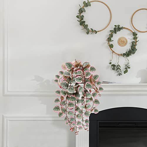 Briful Pink Fake Variegated String of Hearts Plant in White Ceramic Pot - color: Blush Pink and Sage Green Variegated