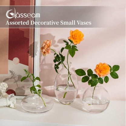 Glasseam Clear Glass Bud Vase, 3Pcs/1Set Modern Mini Small Flower Vases - color: Clear, size: 1 Set