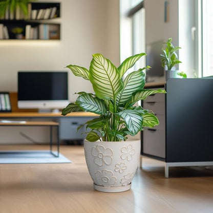MPotTo 10 Inch Ceramic Planter Pot, Large Petal White - color: Large Petal White