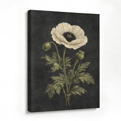 Framed Botanical Wall Art, Moody Poppy Canvas Prints, 16x24 Inch - color: Poppy