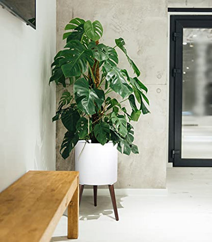D'vine Dev 14 Inch Planter Pot with Wood Stand, White, 88-O-D-1 - color: Matte White, size: X-Large