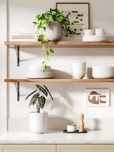 LE TAUCI 6 Inch Ceramic Plant Pot, Small Indoor Planter, White - color: White, size: 6”