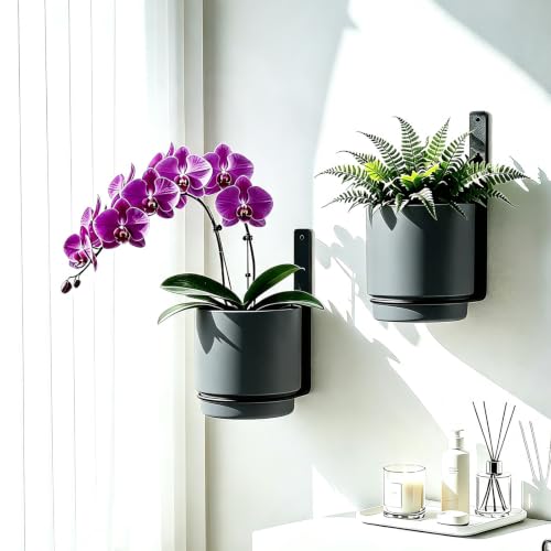 2 Pcs Wall Mounted Hanging Planter Vase for Indoor Outdoor Plants,Modern Metal Wall and Ceiling Hanging Flower Pot with Removable Flower Pot,Minimalist Decor for Herbs Succulents Flowers,5.9Inch,Grey - color: Gray, size: 5.9Inch