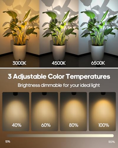 Spotlights Indoor with Remote, 3000Mah Rechargeable Wireless Plant Light - color: Black-3000mAh