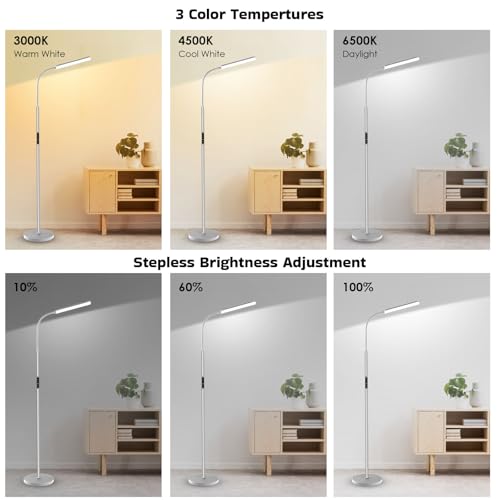 Dimunt LED Floor Lamp, Stepless Adjustable 3000K-6000K Colors, Silver - color: Silver