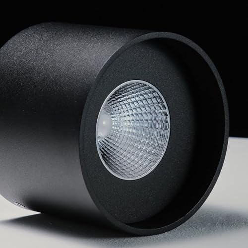 Ceiling Light Fixture, Flush Mount Ceiling Lights LED Dimmable Cylinder Ceiling Light Spot Light for Living Room Hallway Kitchen Dining Room Foyer 3000K 14.5W (Black) - color: Black 1pack