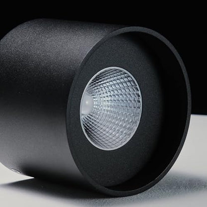 Ceiling Light Fixture, Flush Mount Ceiling Lights LED Dimmable Cylinder Ceiling Light Spot Light for Living Room Hallway Kitchen Dining Room Foyer 3000K 14.5W (Black) - color: Black 1pack