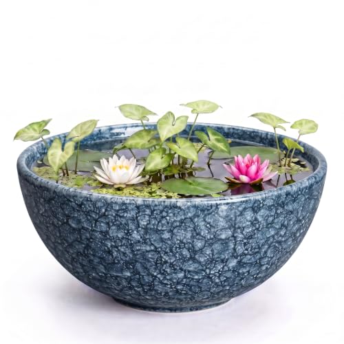 Lotus Bowl, 10 Inch Ceramic Succulent Pots, Bonsai Pots, Scale Blue - color: Scale Blue-1, size: 10 Inch