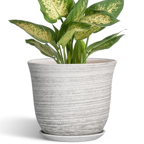 Ceramic Pots for Plants, 5.6 Inch Plant Pot with Drainage, Grey - color: Grey-white, size: 6 Inch