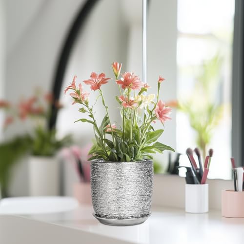 Ceramic Plant Pot 5 Inch, Indoor Planter with Drainage, Silver - color: Silver, size: 5.3 Inch