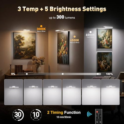 NARUNDREN Rechargeable Picture Lights for Wall with Remote-2PC(White) - color: White