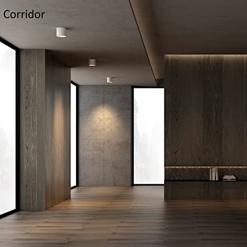 Ceiling Light Fixture, Flush Mount Ceiling Lights LED Dimmable Cylinder Ceiling Light Spot Light for Living Room Hallway Kitchen Dining Room Foyer 3000K 14.5W (White) 2-Pack - color: White 2pack