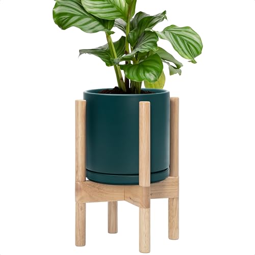 D'vine Dev Ceramic Pot with Natural Wood Stand, Teal, 8 in, 55-B-N-4 - color: Teal Pot + Natural Stand, size: 8 Inch