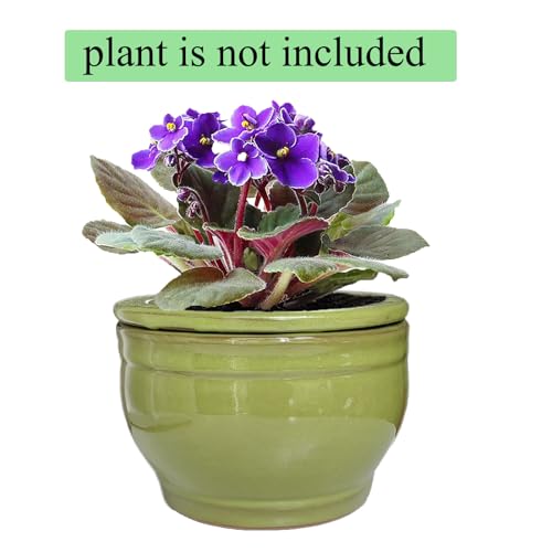 African Violet Pots Self Watering Green 6 inch - color: Green