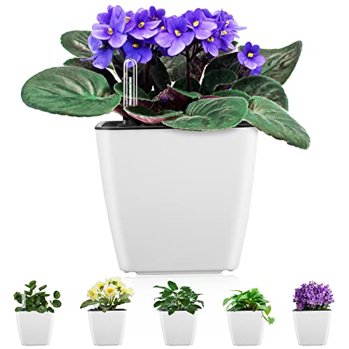 Self Watering Planters for Indoor Plants, 5.2 Inch 6 Pack Square Plastic Plant Pots with Water Level Indicator & Drainage System for African Violet Herbs Succulents - White - color: White Pack of 6