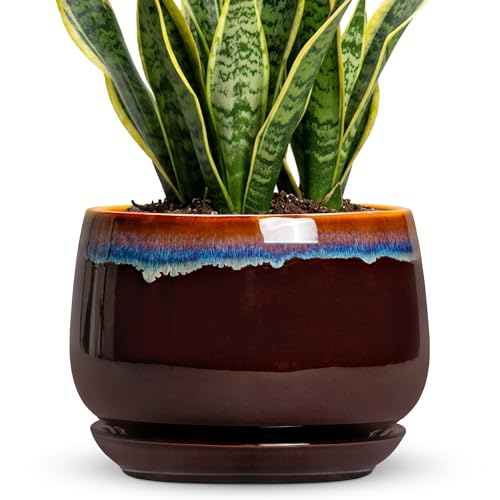 9 Inch Flower Pots - Ceramic Planter with Drainage Hole and Saucer, Decorative Ceramic Pots for Indoor Plants, Round Plant Pot, Garden Home Living Room Decor, Housewarming Gifts, Brown-Blue - size: 9 Inch, style: Brown-blue