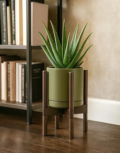 D'vine Dev Ceramic Pot with Walnut Wood Stand, Olive, 8 in, 55-B-Y-J - color: Olive Pot + Walnut Color Stand, size: 8 Inch