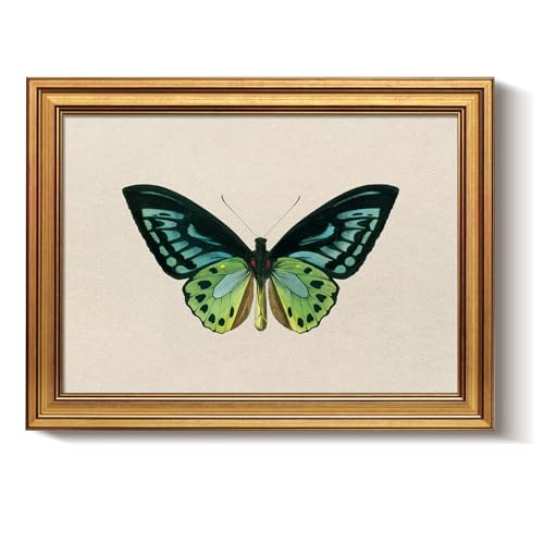 Bzstyleart Vintage Wall Art Decor, Vintage Gold Framed Wall Art, Green Butterfly Frmaed Artwork for Office, Aesthetic Canvas Picture Print, Painting for Bedroom Living Bathroom, 12 x 16 Inch - color: Green Butterfly, size: 16"L x 12"W