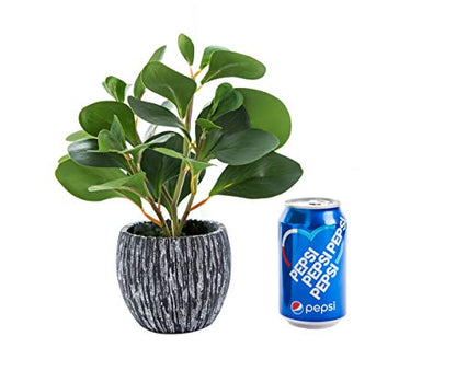 AlphaAcc Fake Faux Fiddle Leaf Fig Cement Planter Housewarming Desk Decor - color: Green Fiddle Leaf Fig Plant