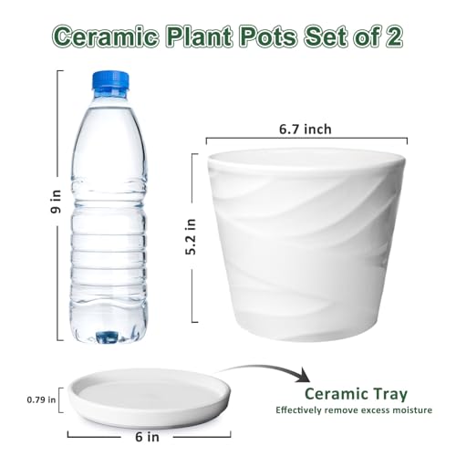 6 Inch Plant Pot,Ceramic Planter with Drainage and Saucer(6.7 In Diameter) - color: Pure White, size: 6.7 Inch-2 Pack