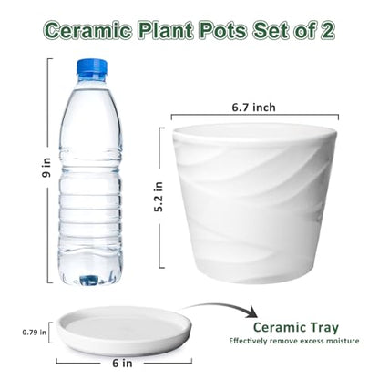 6 Inch Plant Pot,Ceramic Planter with Drainage and Saucer(6.7 In Diameter) - color: Pure White, size: 6.7 Inch-2 Pack