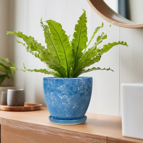 6 Inch Ceramic Plant Pot - Ceramic Planters Indoor, Blue - color: Sky Blue, size: 6 Inch