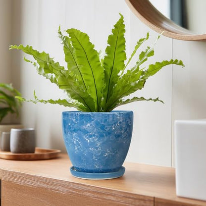 6 Inch Ceramic Plant Pot - Ceramic Planters Indoor, Blue - color: Sky Blue, size: 6 Inch