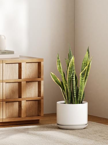 LE TAUCI 10 inch Plant Pot, Ceramic Pots for Plants, White - color: White, size: 10"