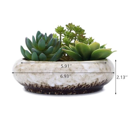 VanEnjoy 7.3 inch Round Large Shallow Succulent Ceramic Glazed Planter Pots with Drainage Hole, Bonsai Pots Garden Decorative Cactus Stand Flower Container (White) - color: White