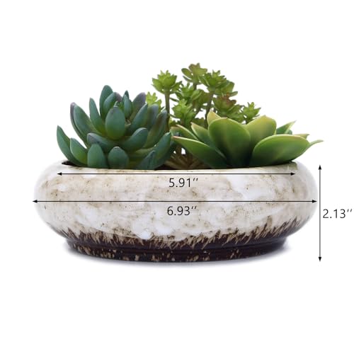VanEnjoy 7.3 inch Round Large Shallow Succulent Ceramic Glazed Planter Pots with Drainage Hole, Bonsai Pots Garden Decorative Cactus Stand Flower Container (White) - color: White
