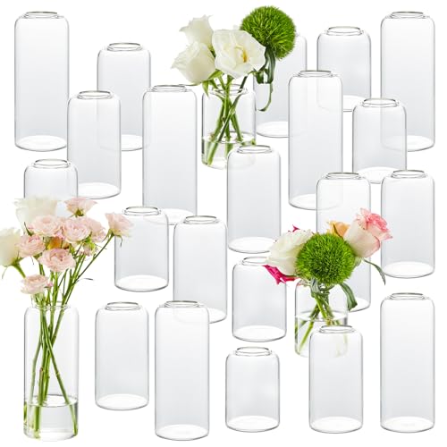 Glass Bud Vases Set of 24, Clear Flower Vase for Centerpieces, Small Vases for Flowers, Decor Centerpiece for Bathroom, Decorative Vases for House Warming - size: 24