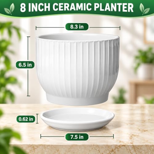 8 Inch Ceramic Plant Pot,White - color: Pure White, size: 8 Inch(1 PCS)