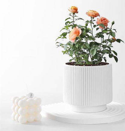 Ceramic 4.9+6.3 inch Planters, Modern Home and Office Flowerpot, Indoor and Outdoor Flowerpot with Drainage Hole (White) - color: White