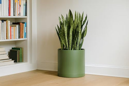 D'vine Dev Plastic Planter Pot with Saucer, 14 in, Olive, 74-X-I-4 - color: Olive, size: 14"