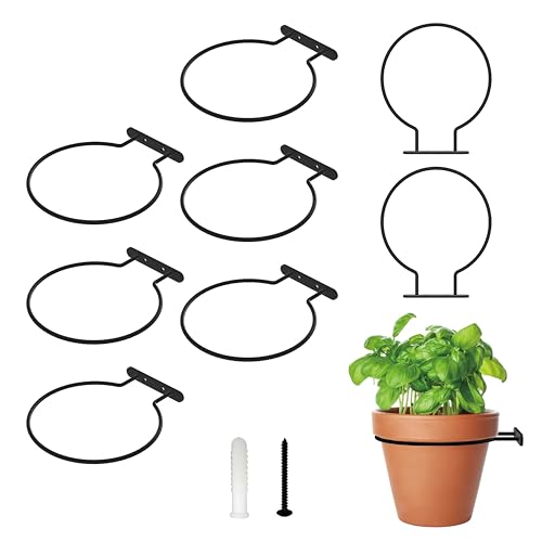 NACETURE Heavy Duty Wall Mount Planter Brackets, 6 Inch 8 Pack - color: Black 8 Pack