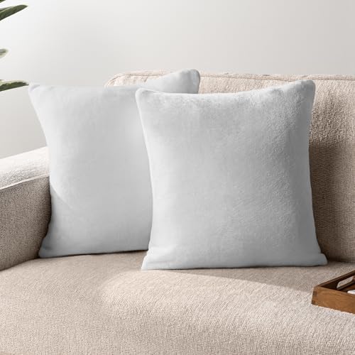 PAVILIA Light Gray Decorative Throw Pillow Covers 20x20 Set of 2 Plush Cozy - color: Light Gray, size: 20" x 20" (Pack of 2)