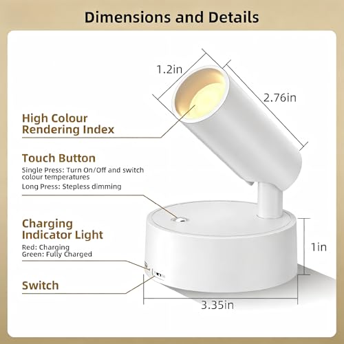 Spot Lights Indoor 5500mAh with Timer, Plant Spot Light Indoor with Remote & 3CCT Dimmable, LED Display Lights Picture Lights for Young, Adults, Women, Tenants, White(2 Pack) - color: 2 x White