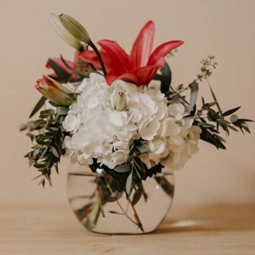 WGVI Bowl Glass Vase, Diameter 8", Height 6", Open Width 5", (Multiple Sizes Choices) Clear Bubble Planter Terrarium Fish Bowl for Wedding Event Home Decor, 1 Piece (VBW0008A) (Pack of 3) - size: 8"Dx6"H 1 Piece (Pack of 3)