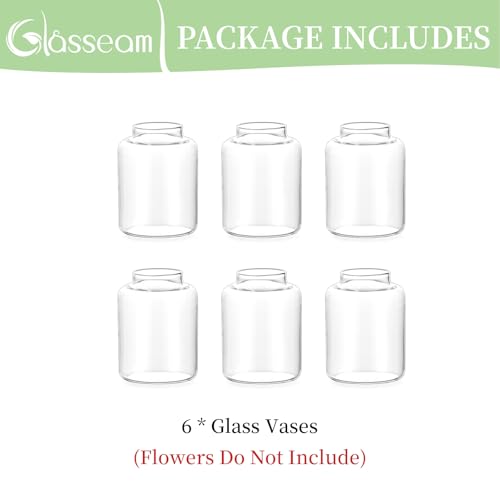 Glasseam Bud vases Set of 6: Glass Vases for Centerpieces Modern Small Vases for Home Table Shelf Wedding Party Decoration - Clear Vase for Flowers Stem Roses Tuilps Cuttings - size: 6Pcs