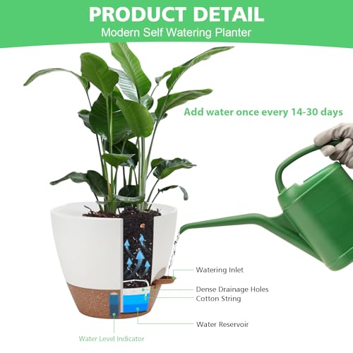 Self Watering Planter with Visual Water Level, 6Pack Small Plastic Pot Set with Drainage Holes and Reservoir Saucers, Modern 8+7+6.5+6+5.5+5 Inch Bottom Watering Flower Pots for Indoor Plant - White - color: White-small