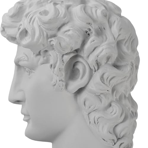 Lukitas David Decorative Bookends, Half-and-Half Book Ends, B&W‌ 9.5'' - color: David - Bk&wh