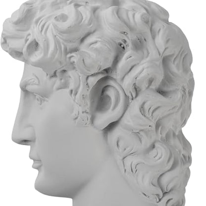 Lukitas David Decorative Bookends, Half-and-Half Book Ends, B&W‌ 9.5'' - color: David - Bk&wh