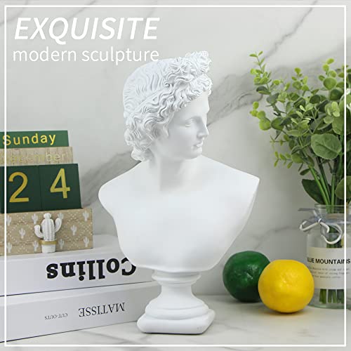 Norrclp 12.6in Greek Statue of Apollo, Classic Roman Head Bust - color: Apollo-12.6in